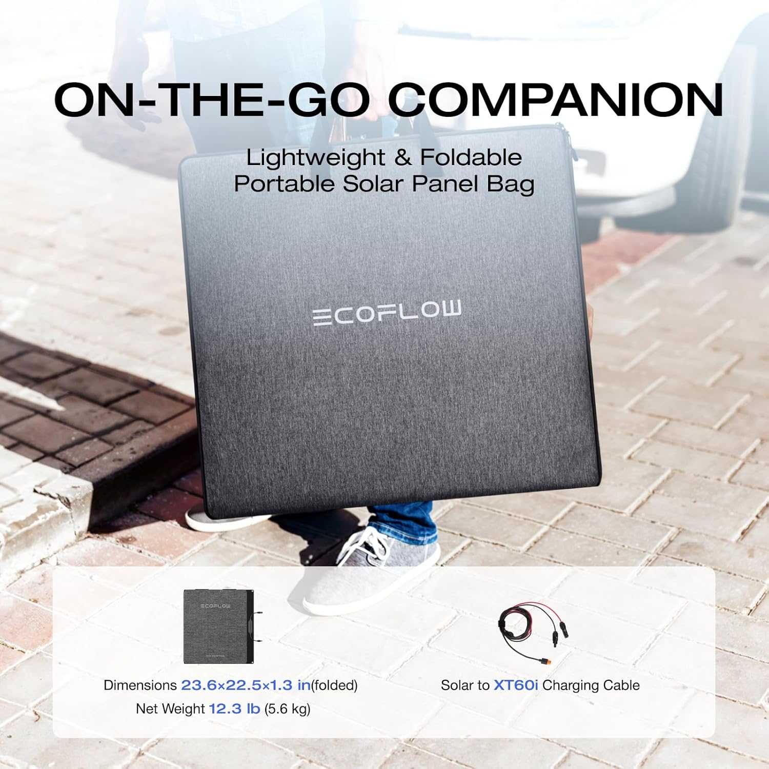 ECOFLOW 160W Watt Portable Solar Panel